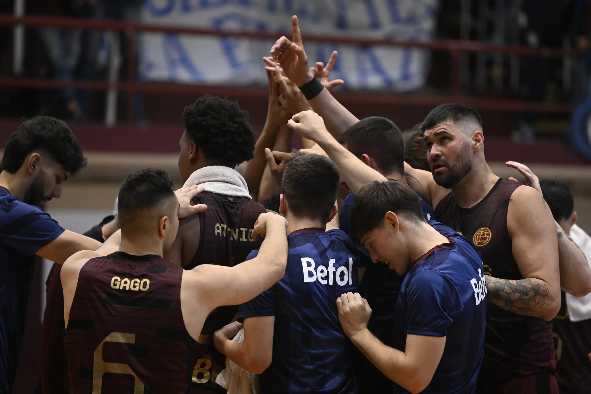basquet masculino