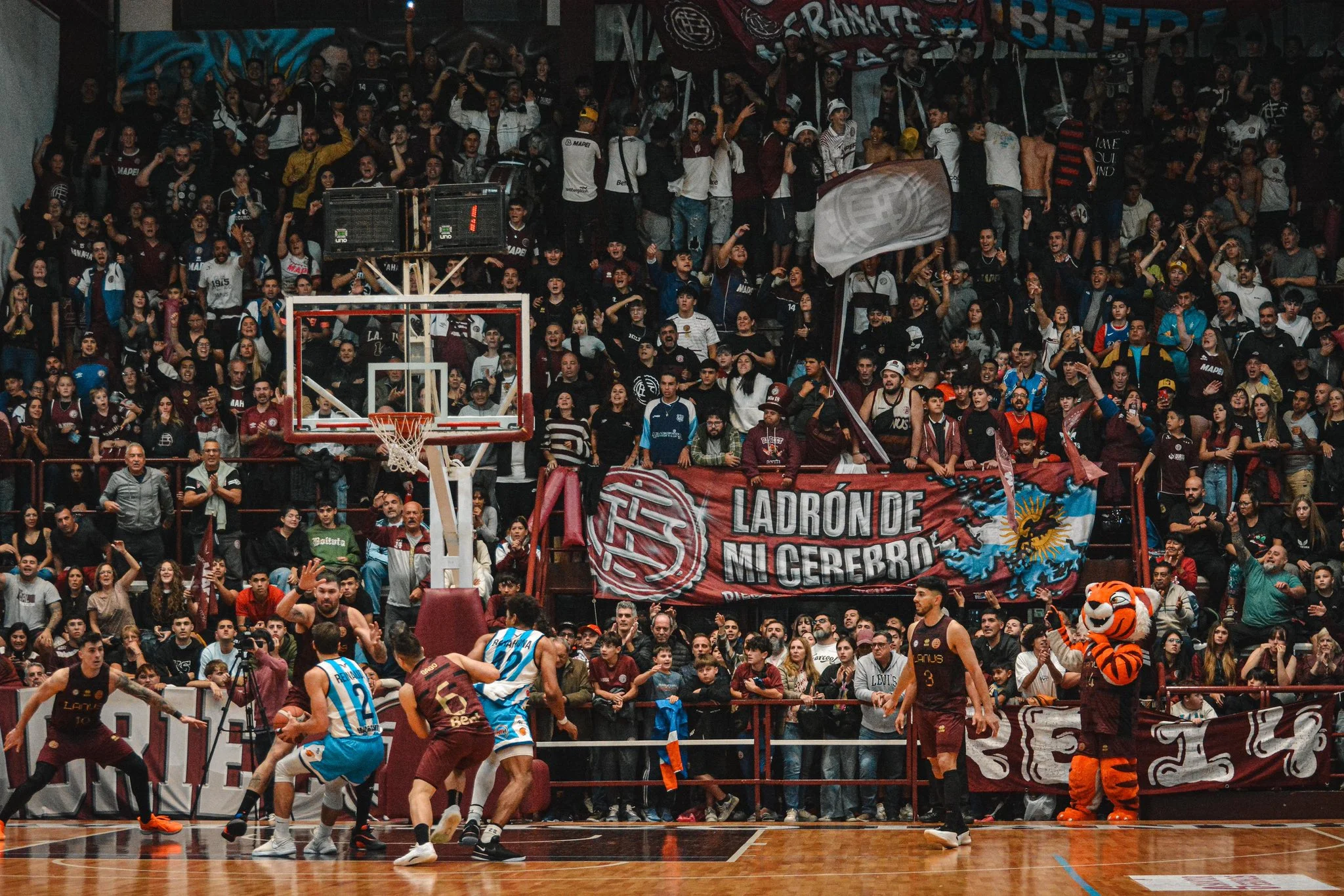 Lanús expectativa vuelta a la Liga Nacional de Basquet