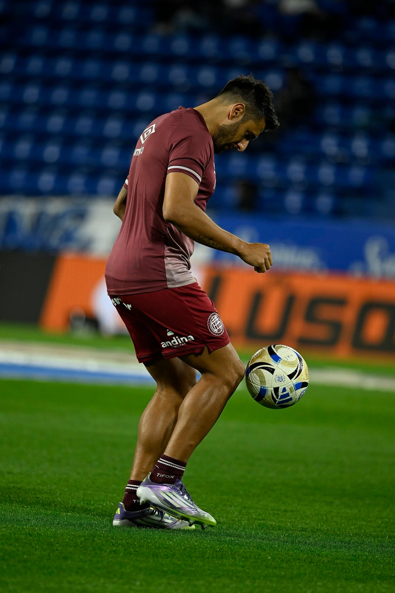Salvio-02