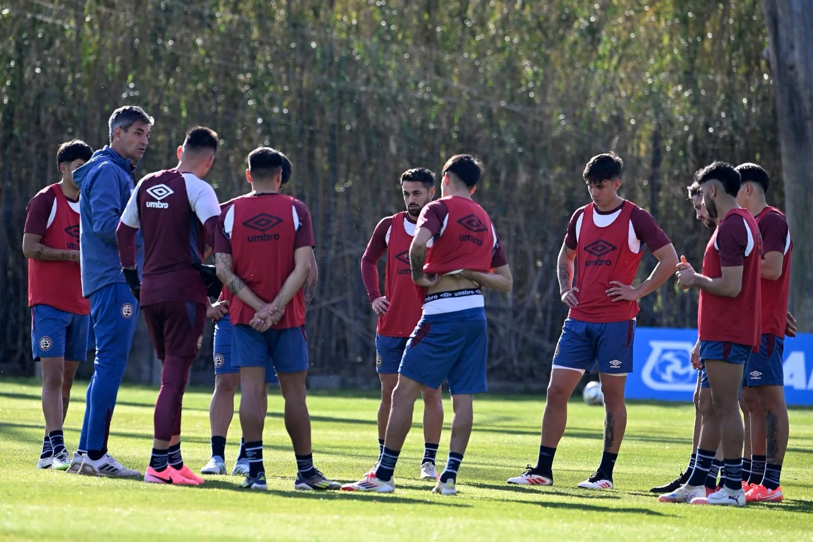 Lanús Pellegrino pretemporada