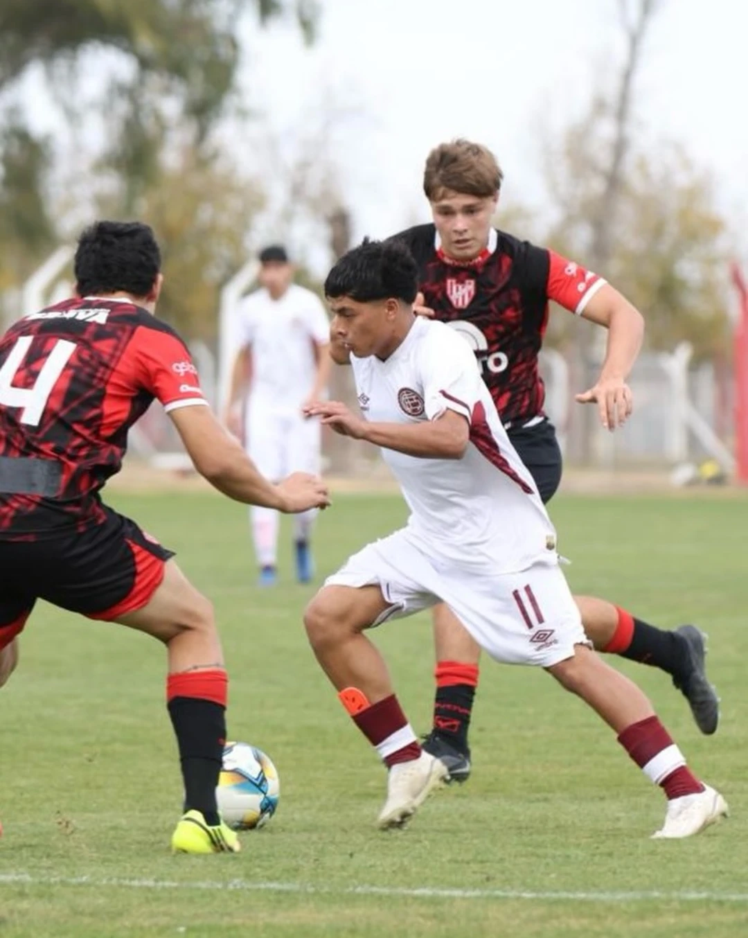 Inferiores-Instituto