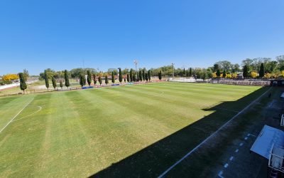 Tomá nota: Pruebas de jugadores en febrero y marzo