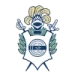 gimnasia-100x100